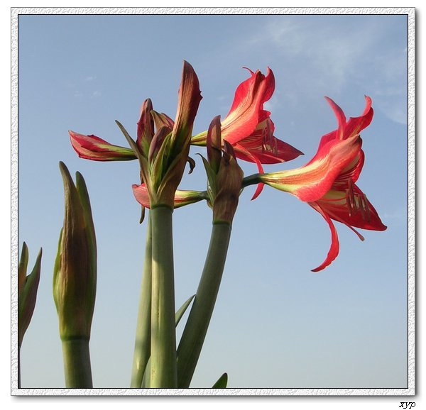 �Ҽҵ���ͨ�춥��