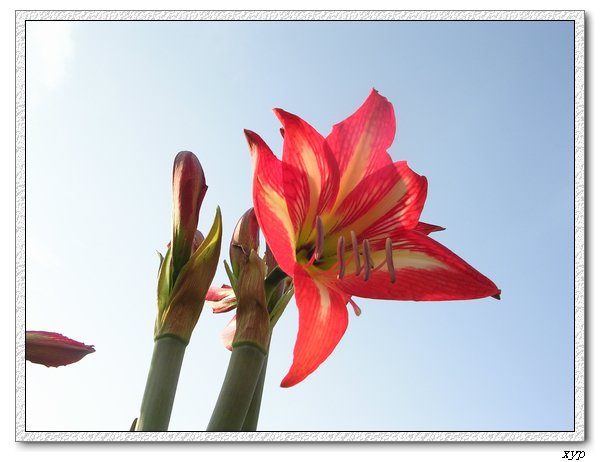 �Ҽҵ���ͨ�춥��