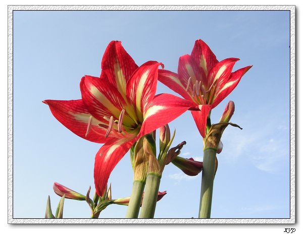 �Ҽҵ���ͨ�춥��