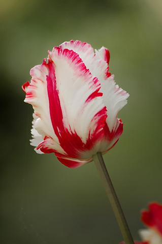 �������ҵ�������