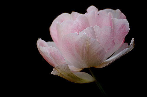 �������ҵ�������