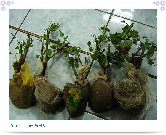 �յ�yczgj���¼���