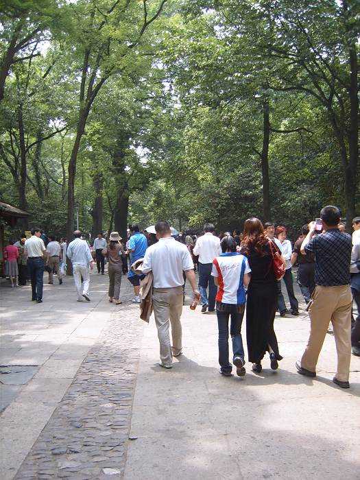 ����һ����