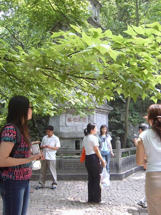 ����һ����