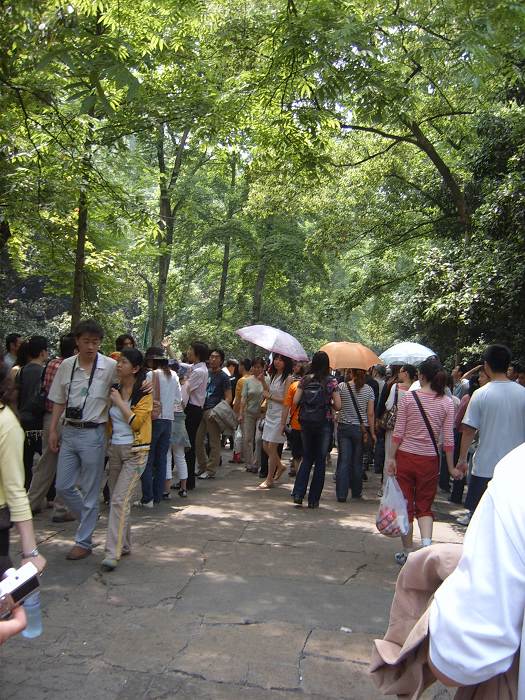 ����һ����