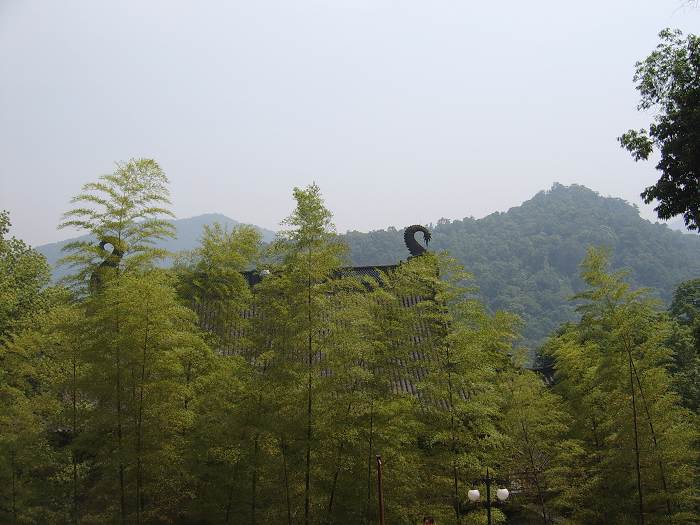 ����һ����