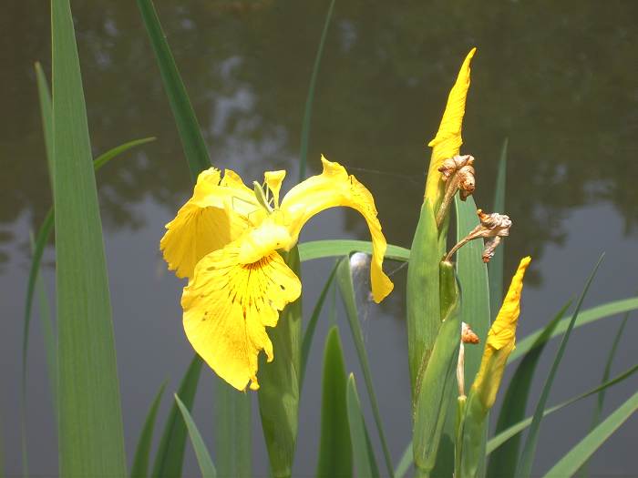 ����һ����