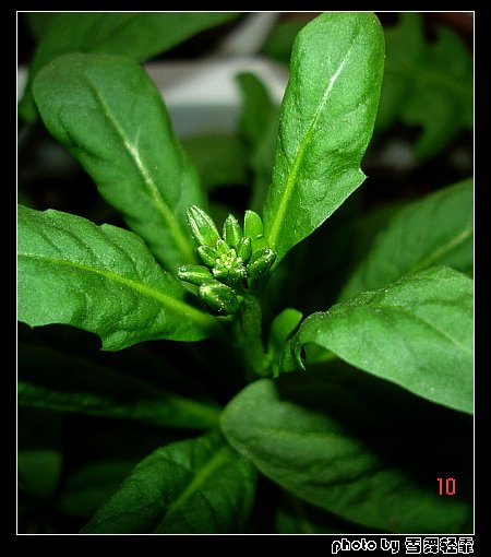 ������������