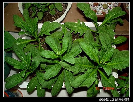 ������������