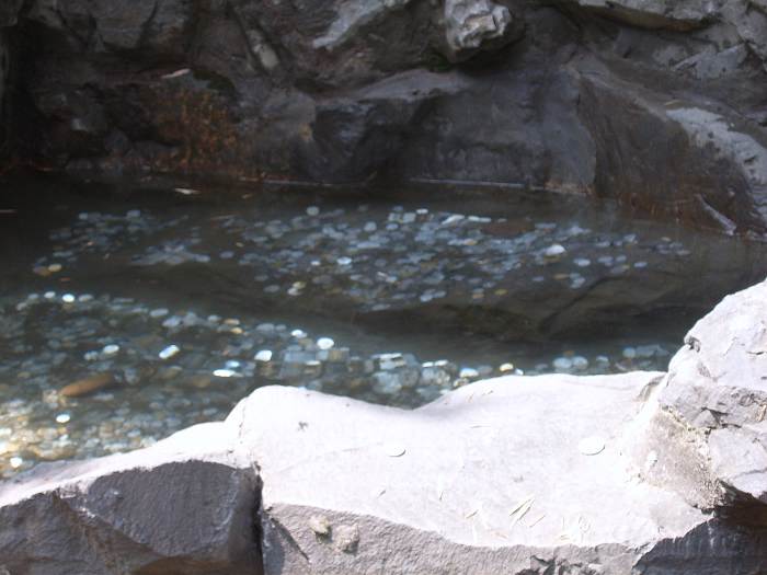 ����һ����