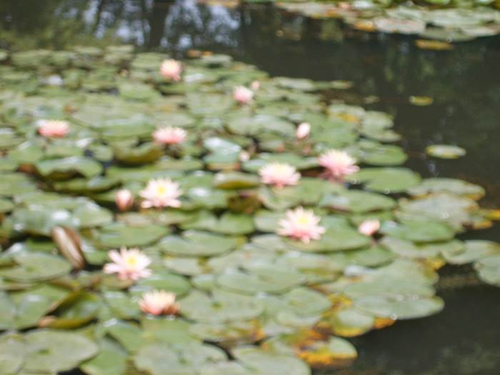 ����һ����