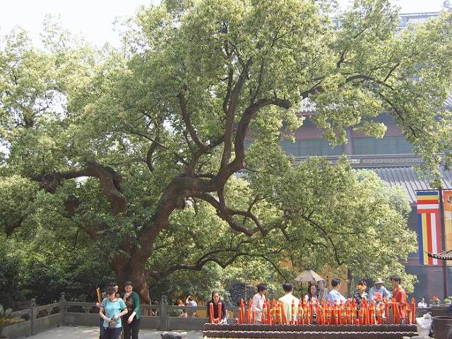 ����һ����