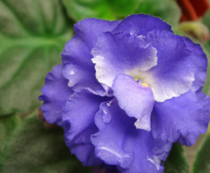 �������������