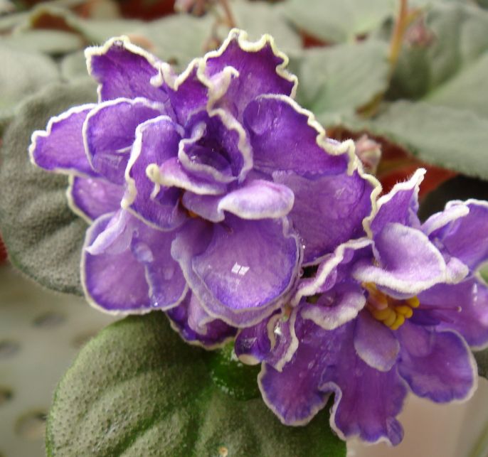 �������������