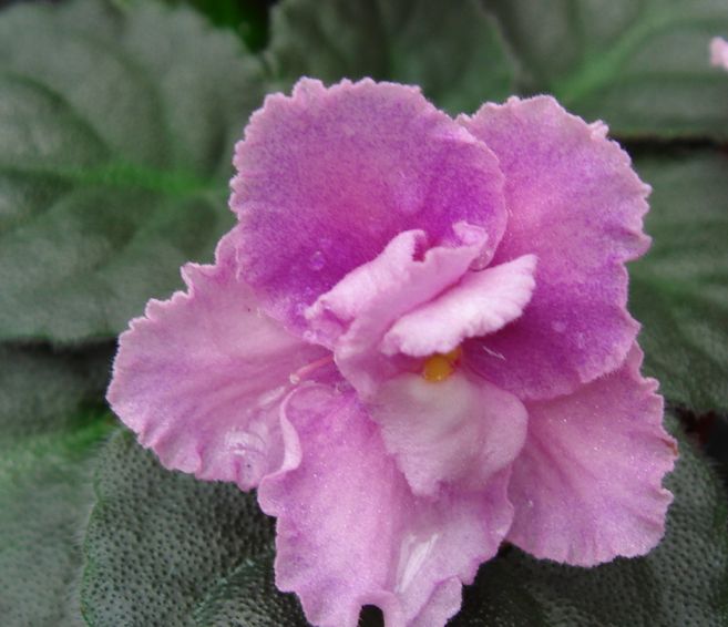 �������������