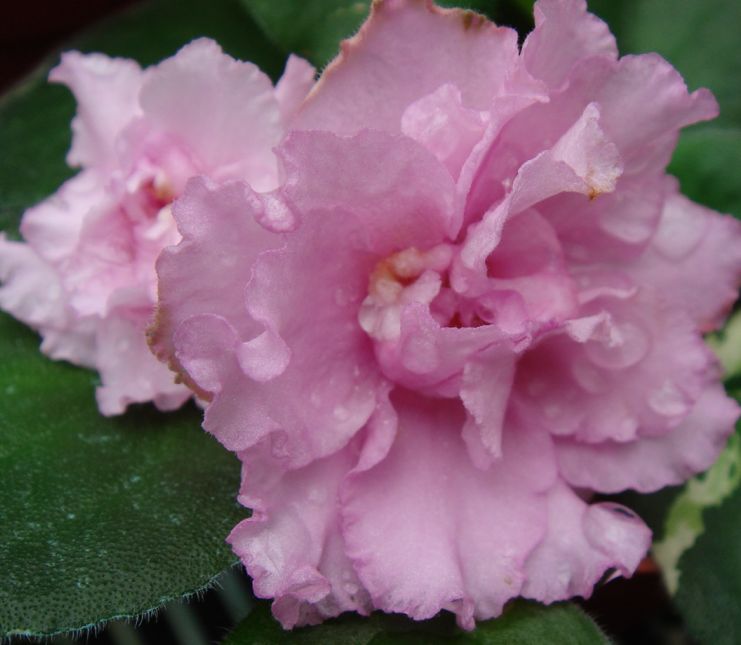 �������������