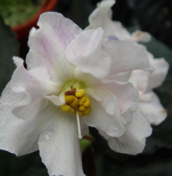 �������������