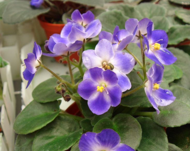 �������������