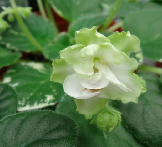 �������������