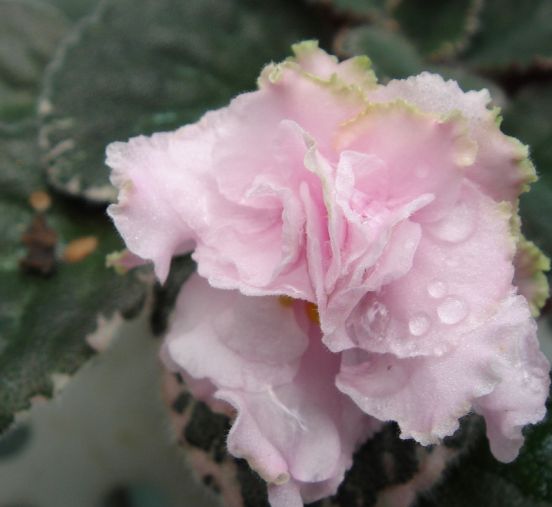 �������������