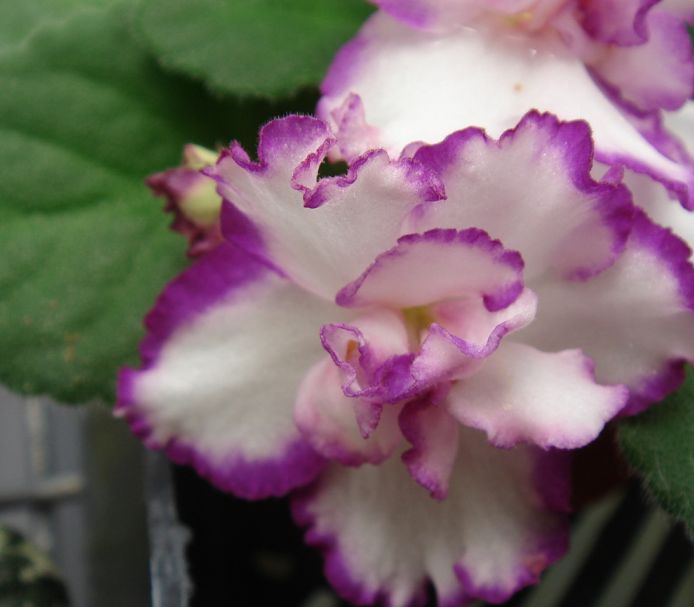 �������������