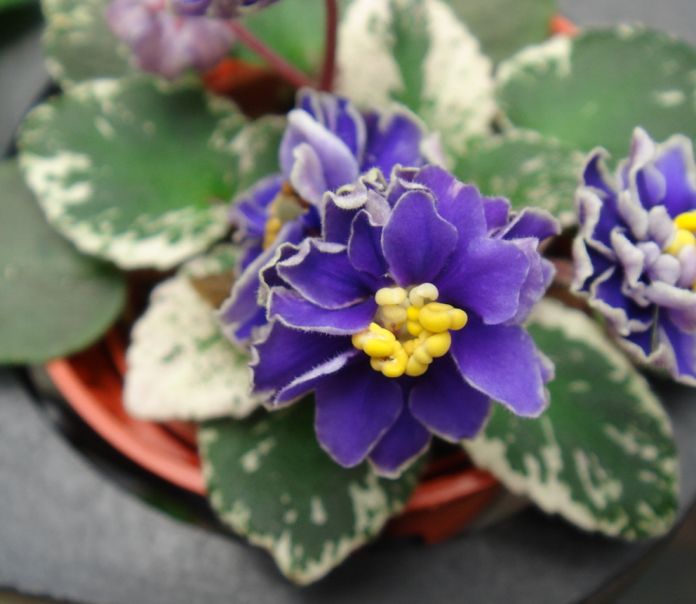 �������������