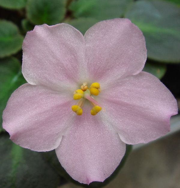 �������������