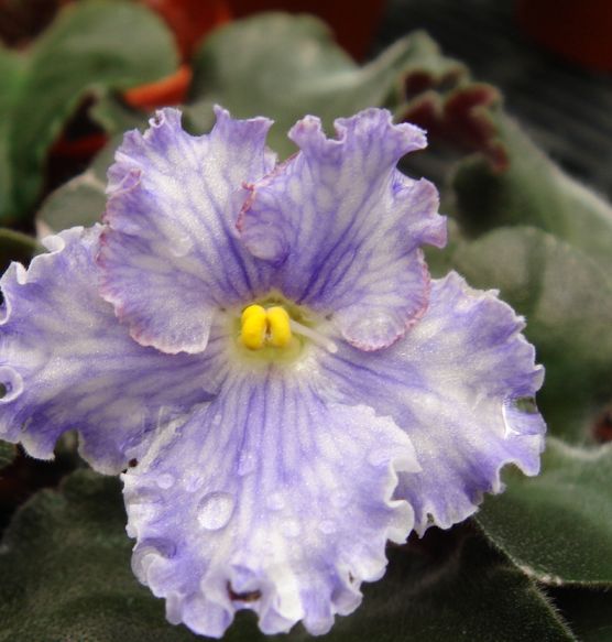 �������������