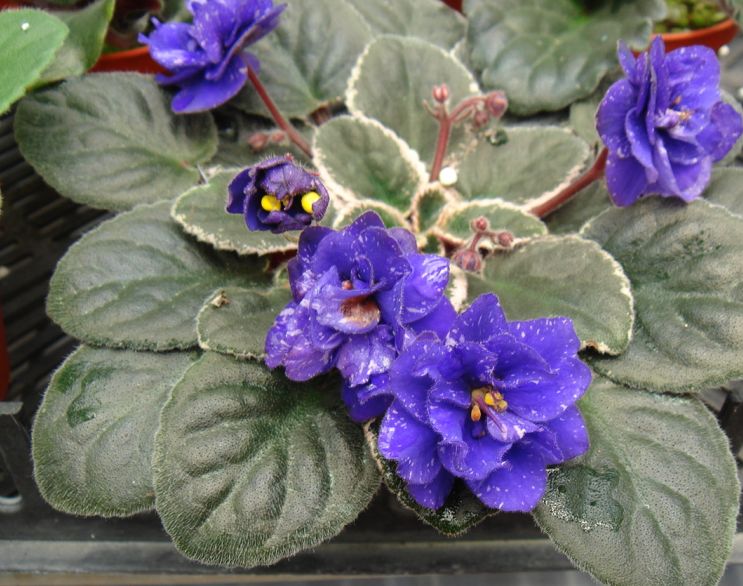 �������������