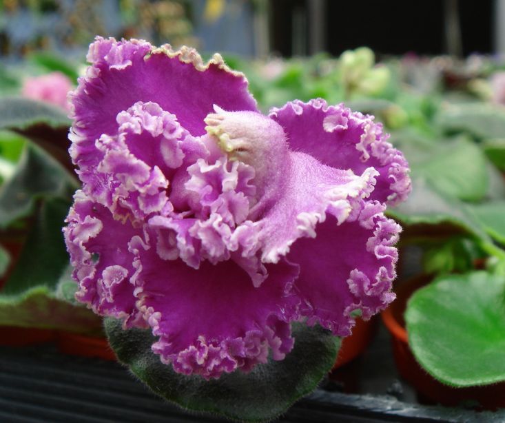 �������������