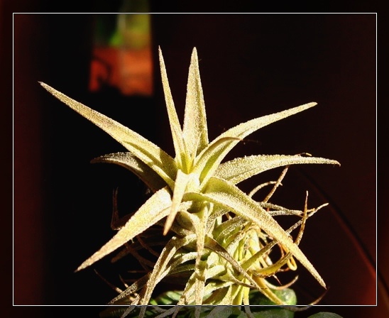 �����Ŀ������汦��~~~