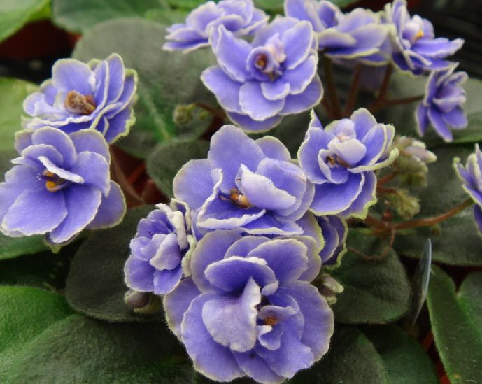 �������������