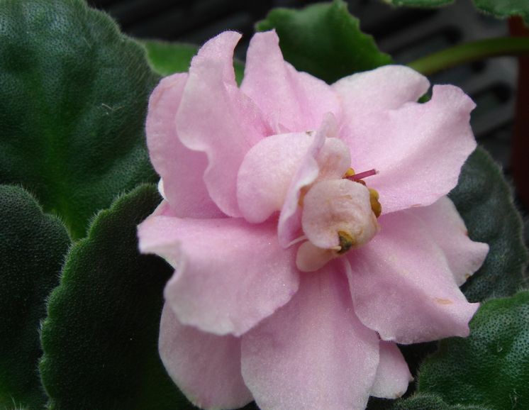 �������������