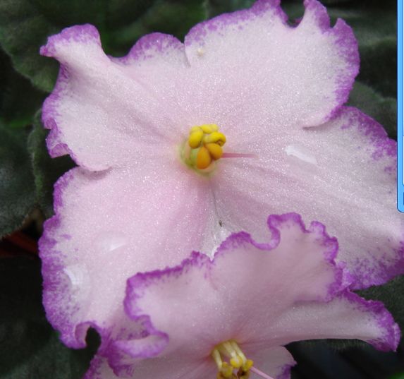 �������������