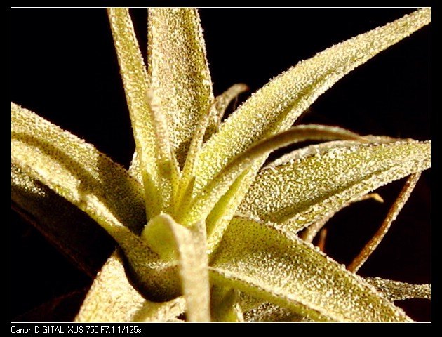 �����Ŀ������汦��~~~