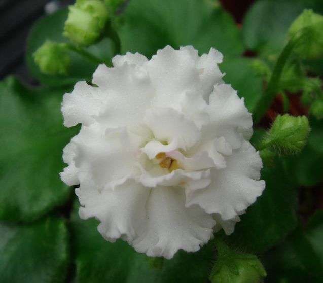 �������������