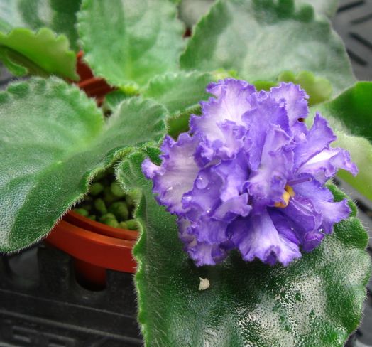 �������������