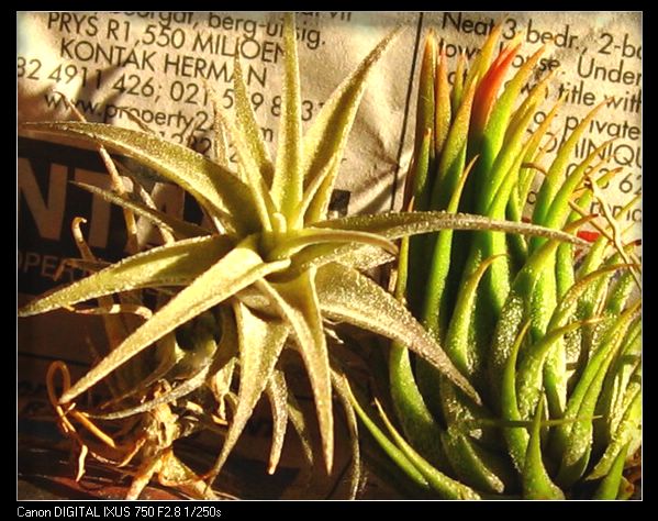 �����Ŀ������汦��~~~