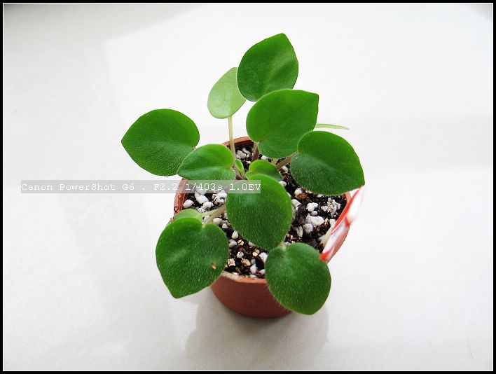 ����һ����.....Rechal��Keewee���