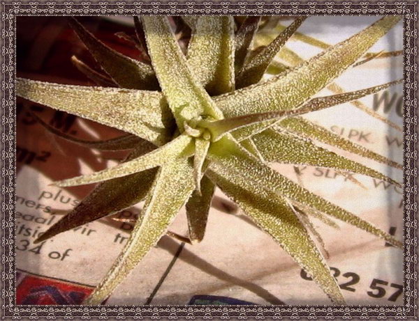 �����Ŀ������汦��~~~