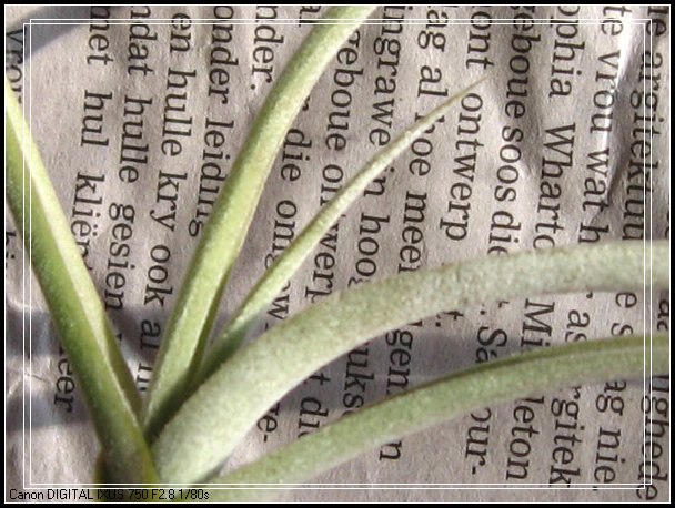 �����Ŀ������汦��~~~