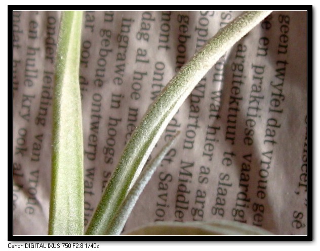 �����Ŀ������汦��~~~