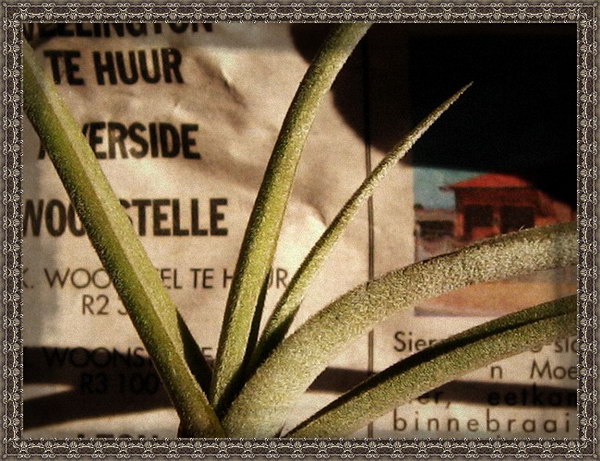 �����Ŀ������汦��~~~