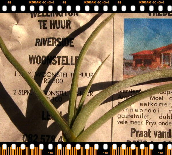 �����Ŀ������汦��~~~