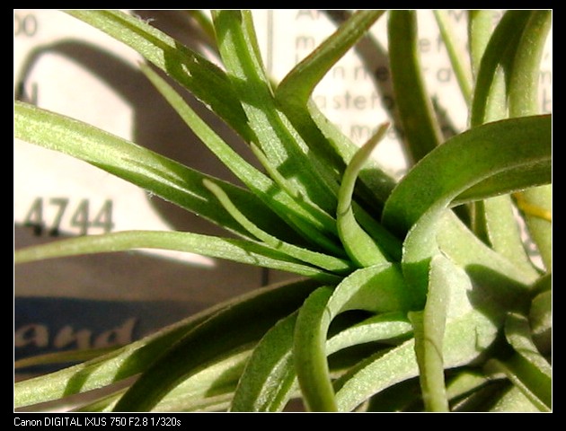 �����Ŀ������汦��~~~