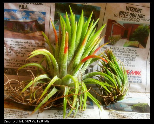 �����Ŀ������汦��~~~