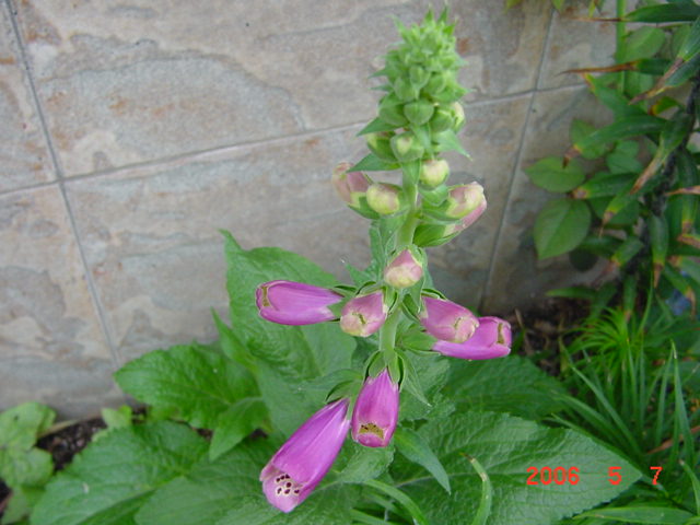 ����СԺ����P12 ���ٺ�����