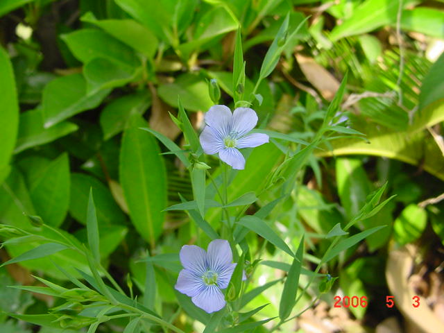 ����СԺ����P12 ���ٺ�����