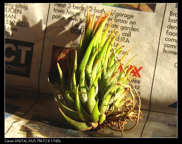 �����Ŀ������汦��~~~