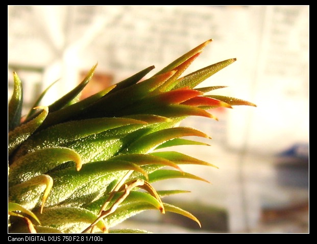 �����Ŀ������汦��~~~